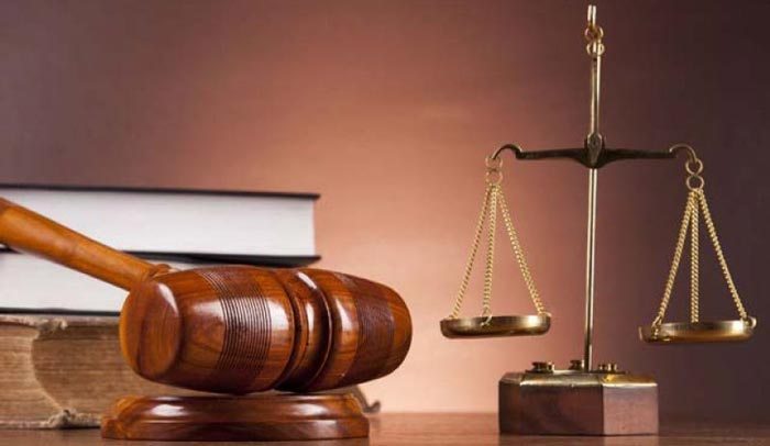 Probate Law Services